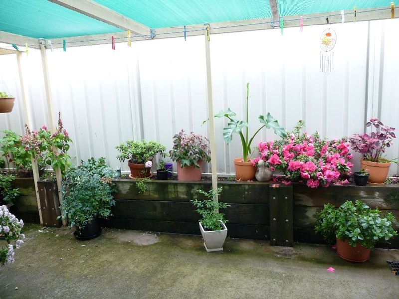 19/2 Hanlon Court, Wodonga VIC 3690