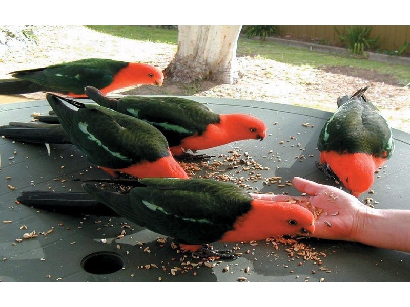 134 Dartmouth Road, Dartmouth VIC 3701