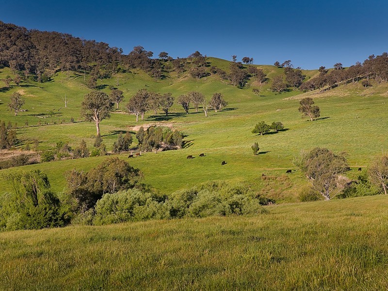 Lot 1, 561 Gundowring Rd, Gundowring VIC 3691