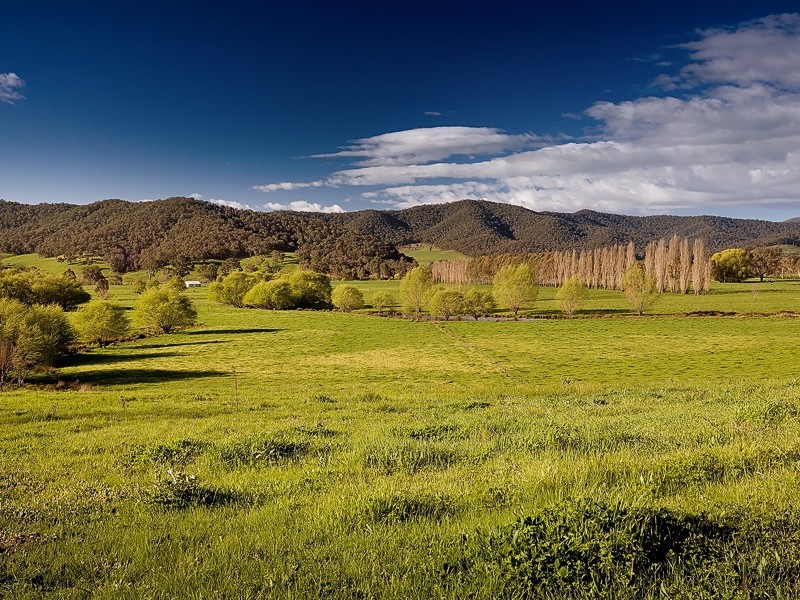 2 Drummond Street, Eskdale VIC 3701