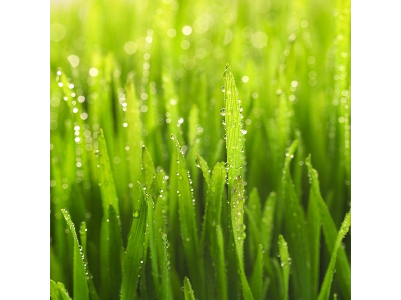 Lot 32 Stanger Court, Wodonga VIC 3690