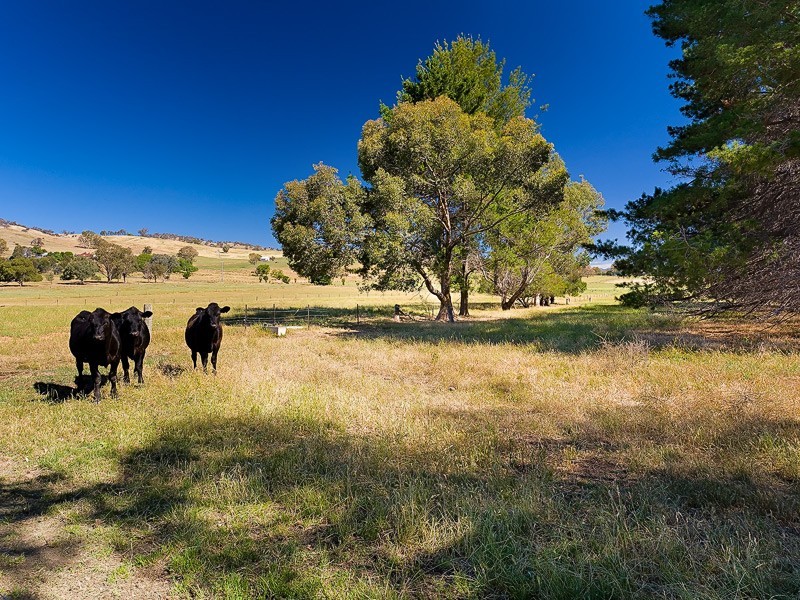621 Gundowring Road, Gundowring VIC 3691
