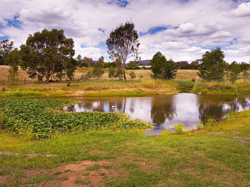 8 Wallace Road, Allans Flat VIC 3691