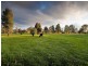 Barnawartha VIC 3688