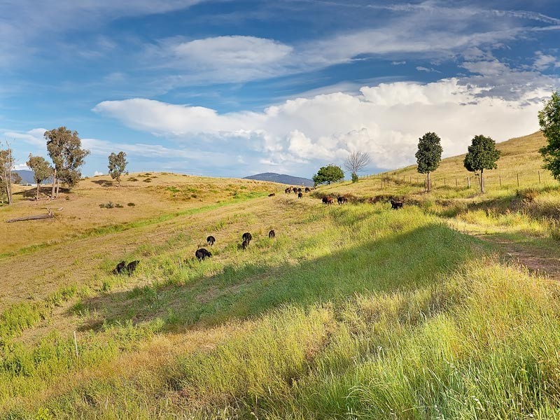 Yackandandah VIC 3749