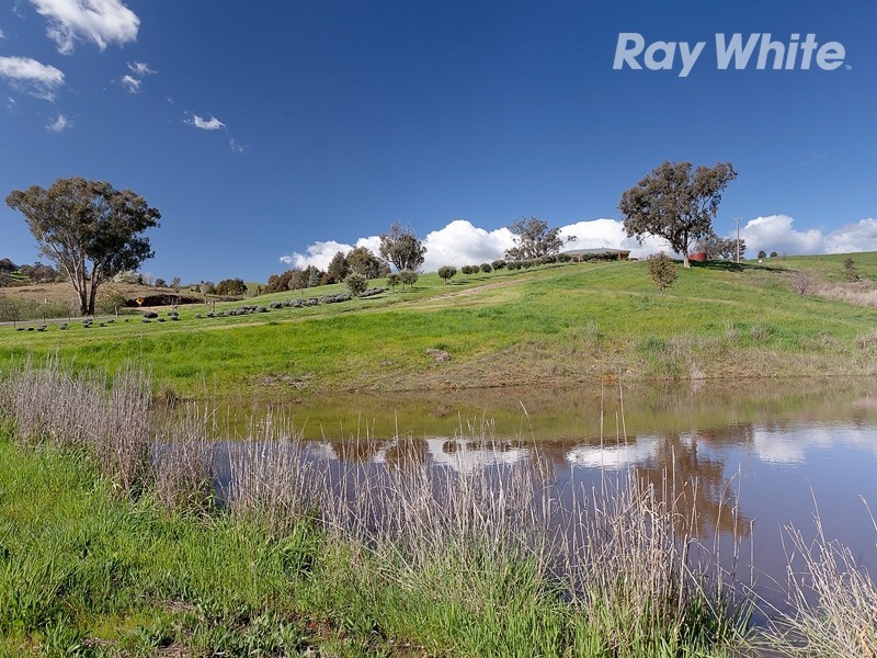 Tangambalanga VIC 3691