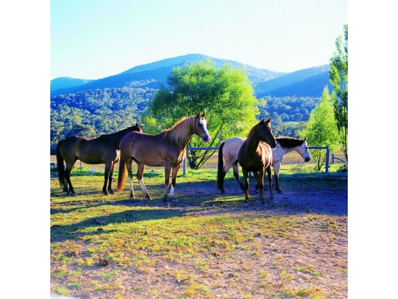 Khancoban Alpine Estate, Khancoban NSW 2642
