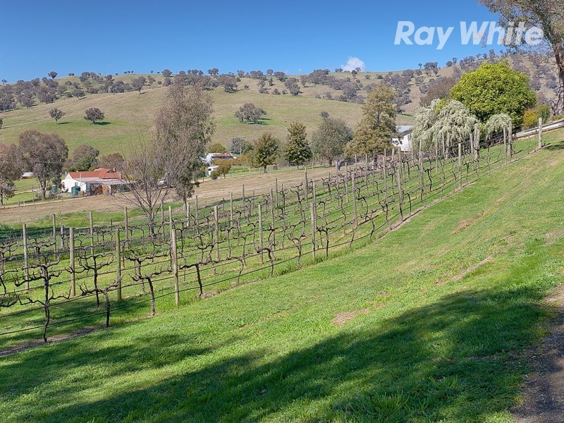 1 Paton Street, Bethanga VIC 3691