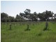 2986 Federation Way, Rutherglen VIC 3685
