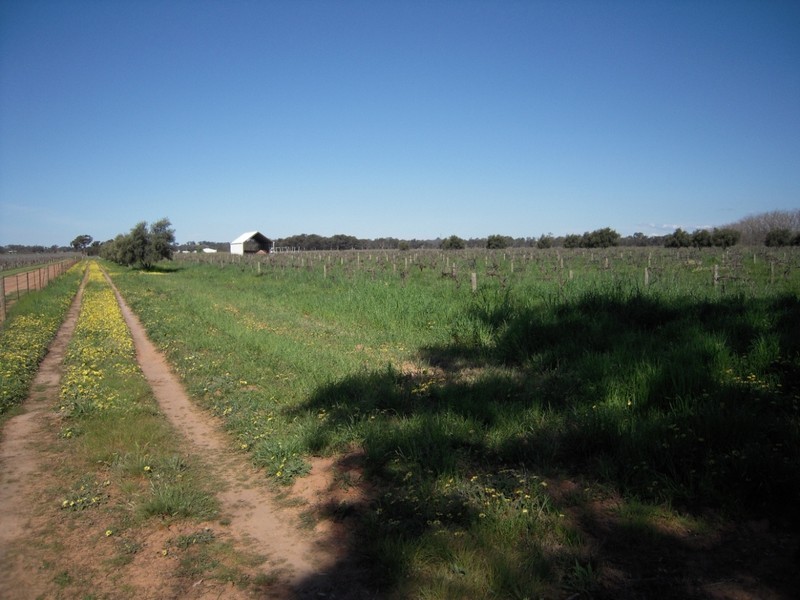 2986 Federation Way, Rutherglen VIC 3685