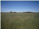 2986 Federation Way, Rutherglen VIC 3685