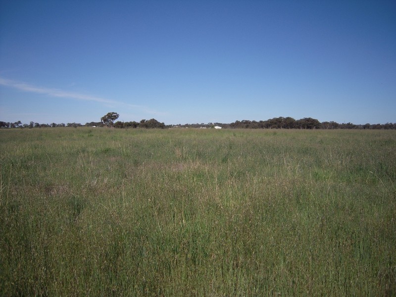 2986 Federation Way, Rutherglen VIC 3685