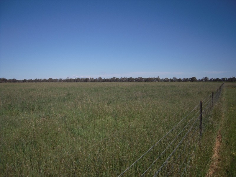 2986 Federation Way, Rutherglen VIC 3685