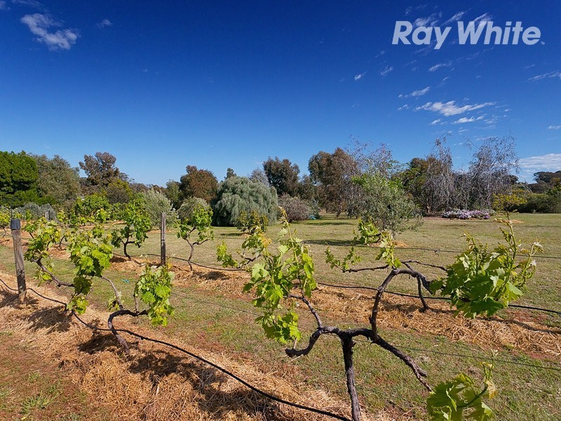Rutherglen VIC 3685