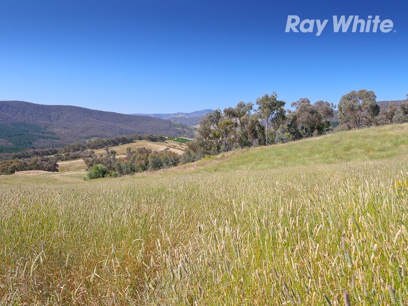 Koetong – Burrowye Road, Koetong VIC 3704