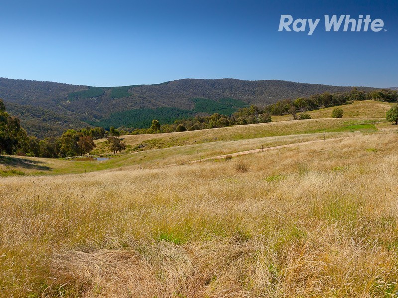 Koetong – Burrowye Road, Koetong VIC 3704