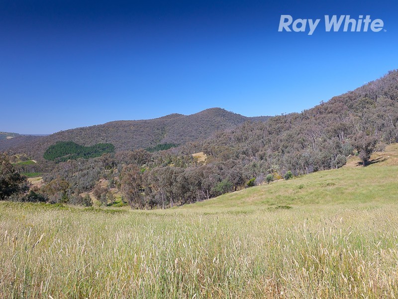 Koetong – Burrowye Road, Koetong VIC 3704