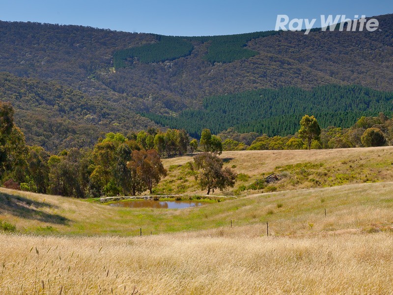 Koetong – Burrowye Road, Koetong VIC 3704