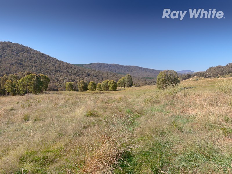 Koetong – Burrowye Road, Koetong VIC 3704