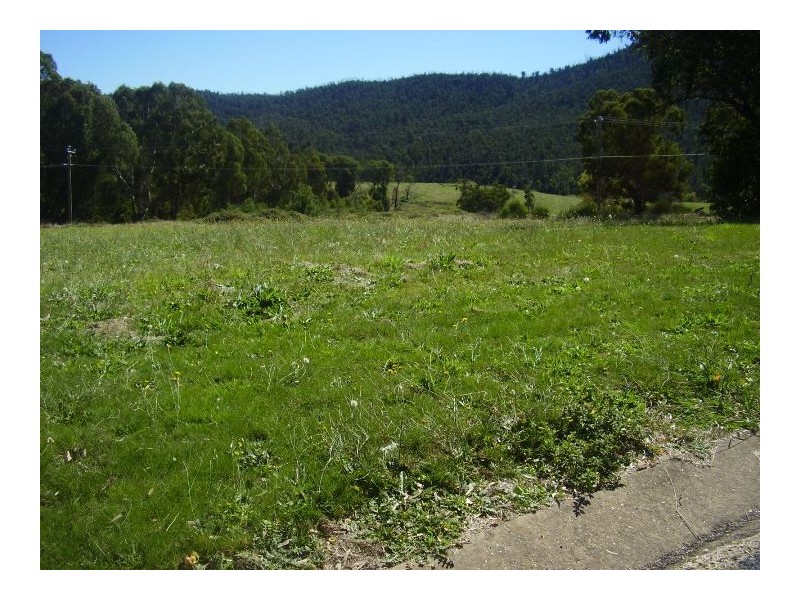 9/11/13 Tokes Crescent, Dartmouth VIC 3701