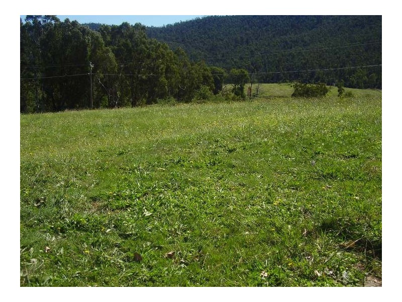 9/11/13 Tokes Crescent, Dartmouth VIC 3701