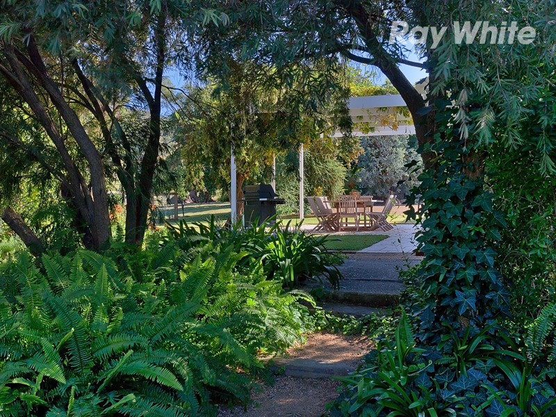Albury NSW 2640