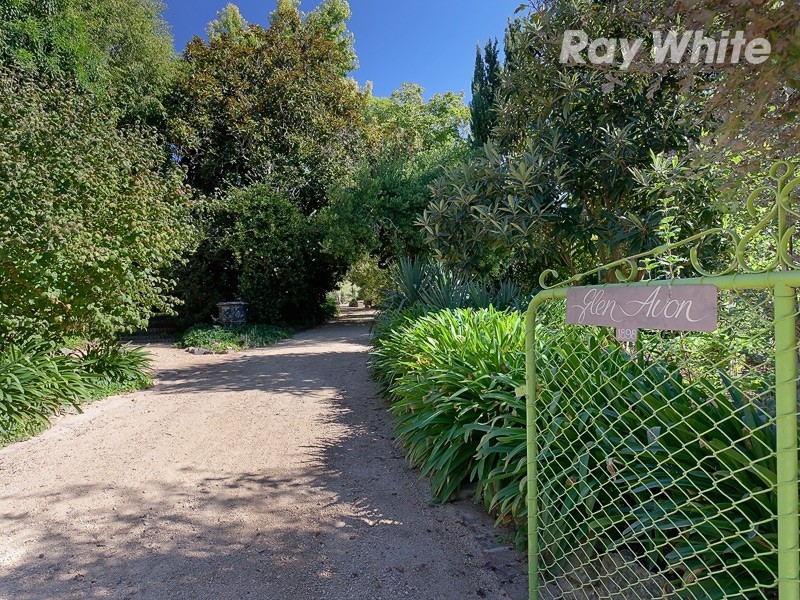 Albury NSW 2640