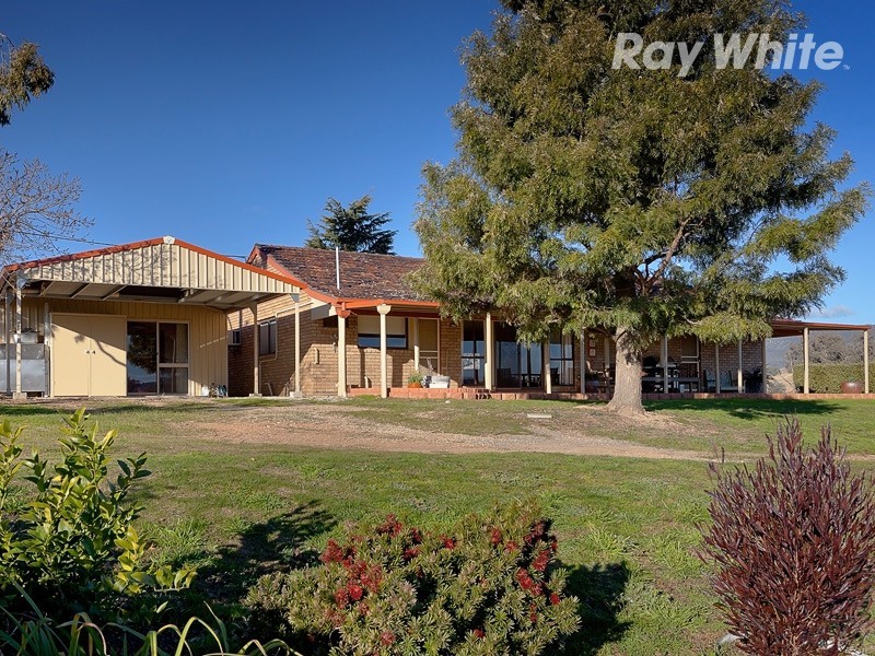 55 Wises Creek Road, Talgarno VIC 3691