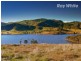 55 Wises Creek Road, Talgarno VIC 3691