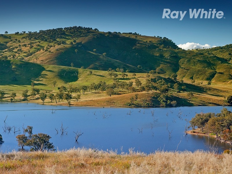 55 Wises Creek Road, Talgarno VIC 3691