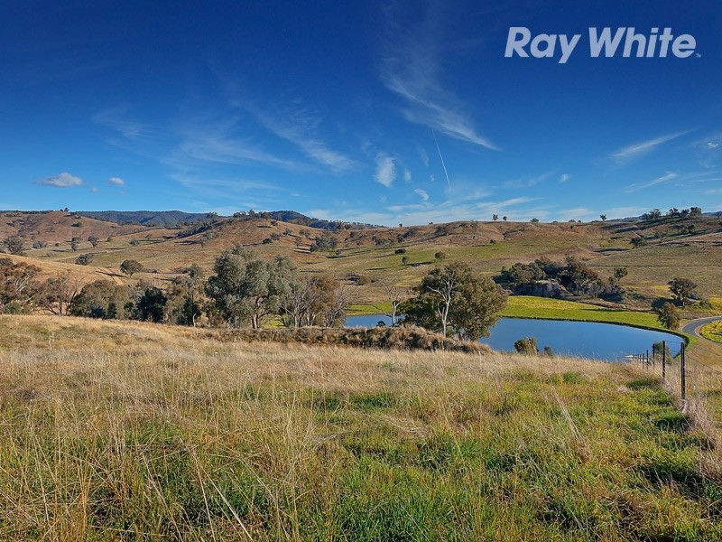 55 Wises Creek Road, Talgarno VIC 3691