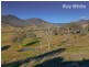 55 Wises Creek Road, Talgarno VIC 3691