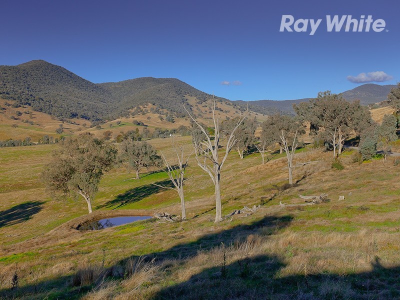 55 Wises Creek Road, Talgarno VIC 3691
