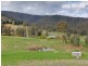1963D Lockharts Gap Road, Tallandoon VIC 3700