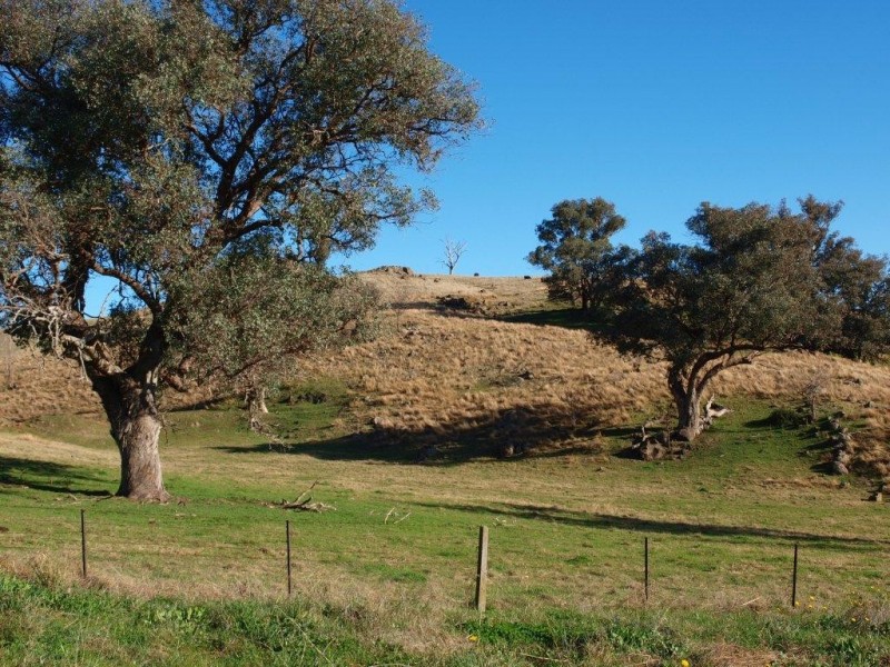 Lot 103 Kurrajong Gap Road, Bellbridge VIC 3691