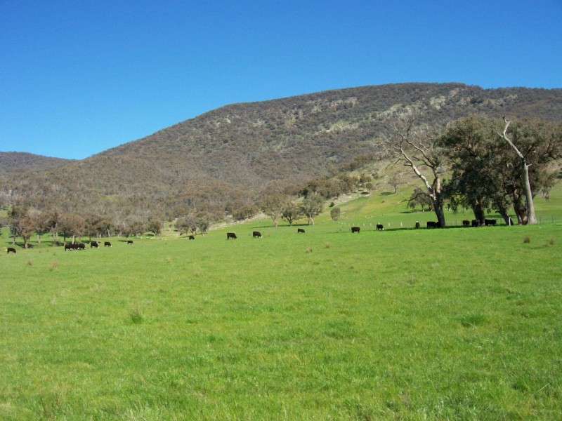 1586 (Lot 9) Kiewa Valley Highway, Kiewa VIC 3691