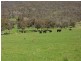 1586 (Lot 9) Kiewa Valley Highway, Kiewa VIC 3691