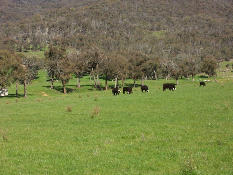 1586 (Lot 9) Kiewa Valley Highway, Kiewa VIC 3691