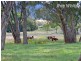 3281 Kiewa Valley Highway, Kergunyah VIC 3691