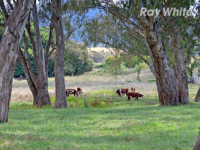 3281 Kiewa Valley Highway, Kergunyah VIC 3691