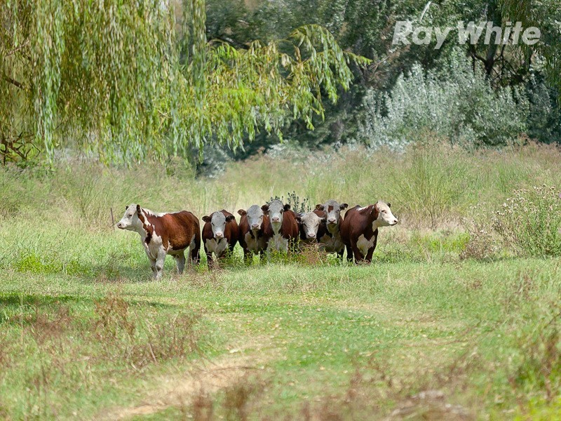 3281 Kiewa Valley Highway, Kergunyah VIC 3691