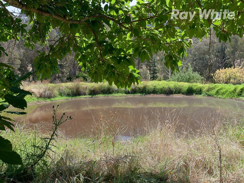 317 Yackandandah Road, Yackandandah VIC 3749