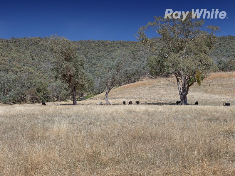 317 Yackandandah Road, Yackandandah VIC 3749