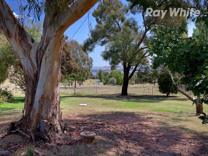 205 Kurrajong Gap Road, Bellbridge VIC 3691