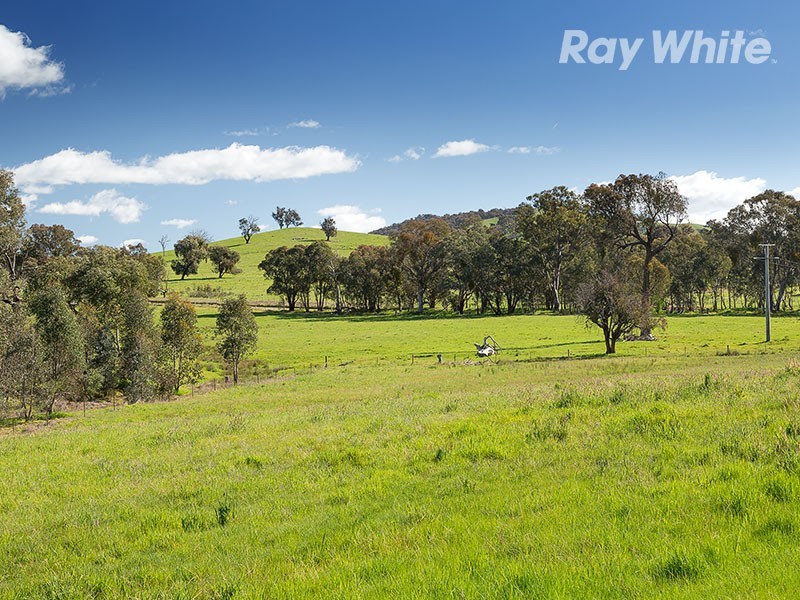 53 Reserve Road, Sandy Creek VIC 3695