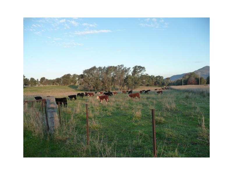 174 Boyes Road, Leneva VIC 3691