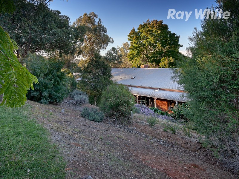 12 Echidna Court, Baranduda VIC 3691