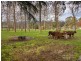 4348 Kiewa Valley Highway, Dederang VIC 3691