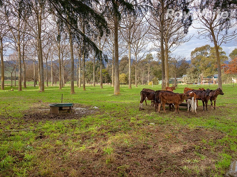 4348 Kiewa Valley Highway, Dederang VIC 3691