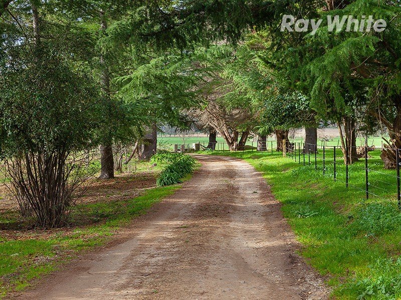 4348 Kiewa Valley Highway, Dederang VIC 3691